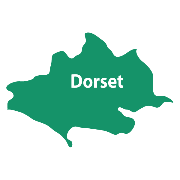 Septic Tank Surveys across Dorset